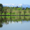 湖畔の木々と山脈