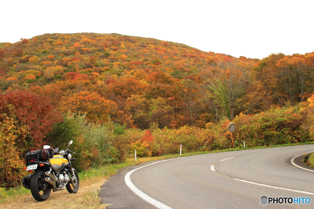 紅葉の山へ・・・