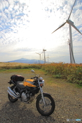 仁賀保の風車と鳥海山