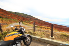 鳥海山の赤と日本海の青