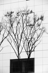 街のキャンバス