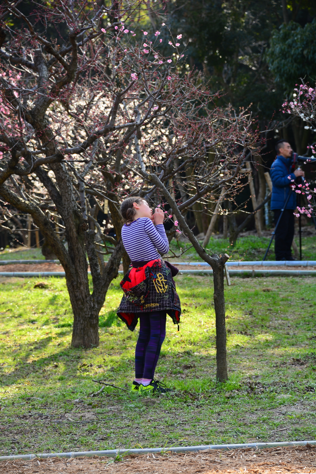 花にふれ、花となる