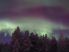 オーロラ-6/6(20141228_Northern-Lights-4)