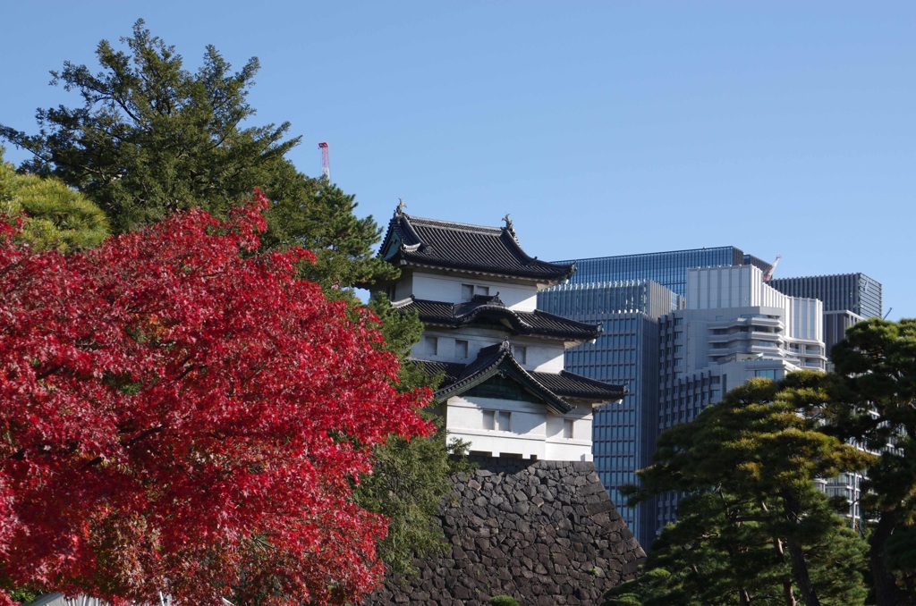 皇居