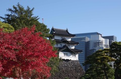 皇居
