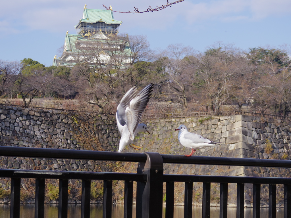 ただいま