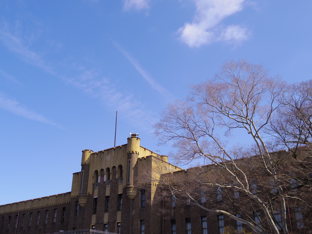 大阪市立博物館