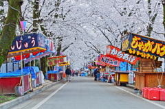 赤城千本桜