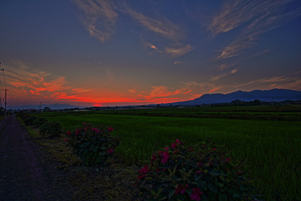 夕焼け