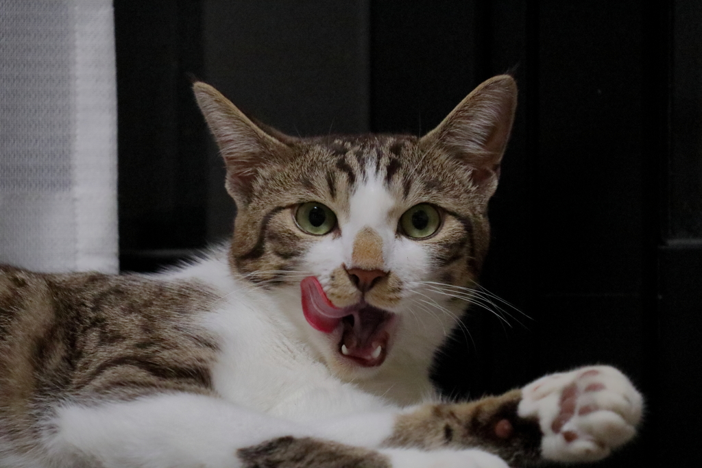 あっ !