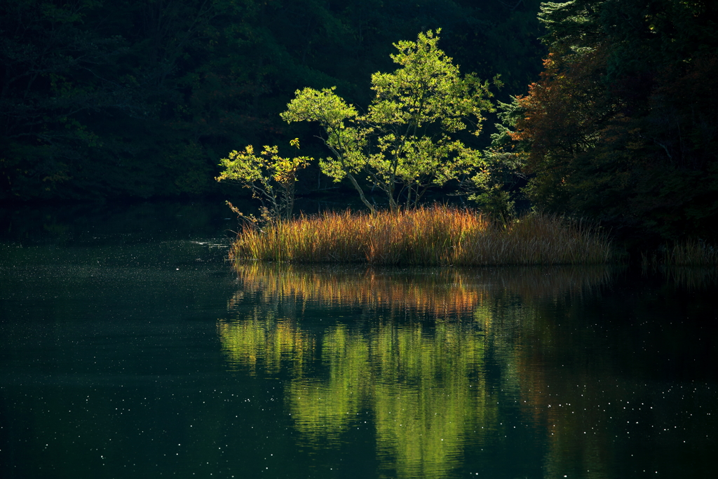 風景