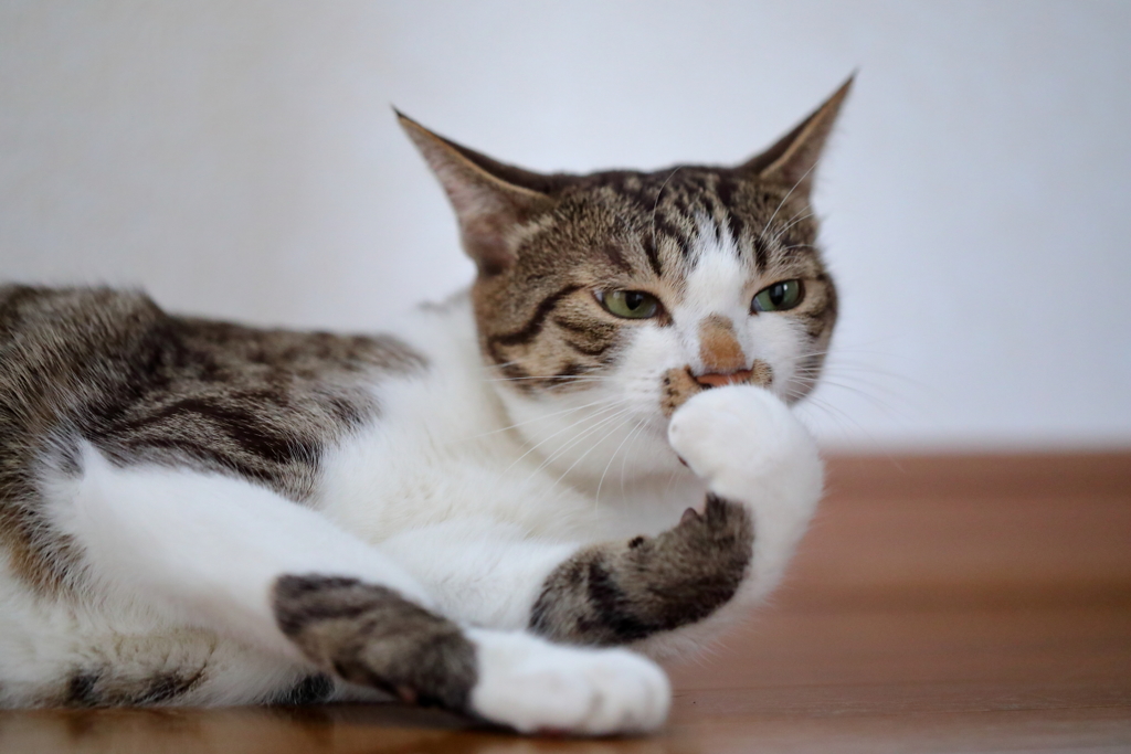 プッ！