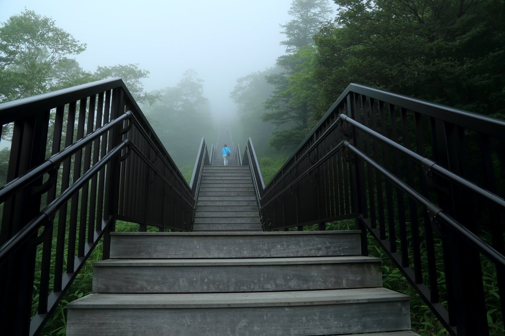 1445段登りますか？