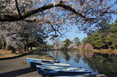 公園