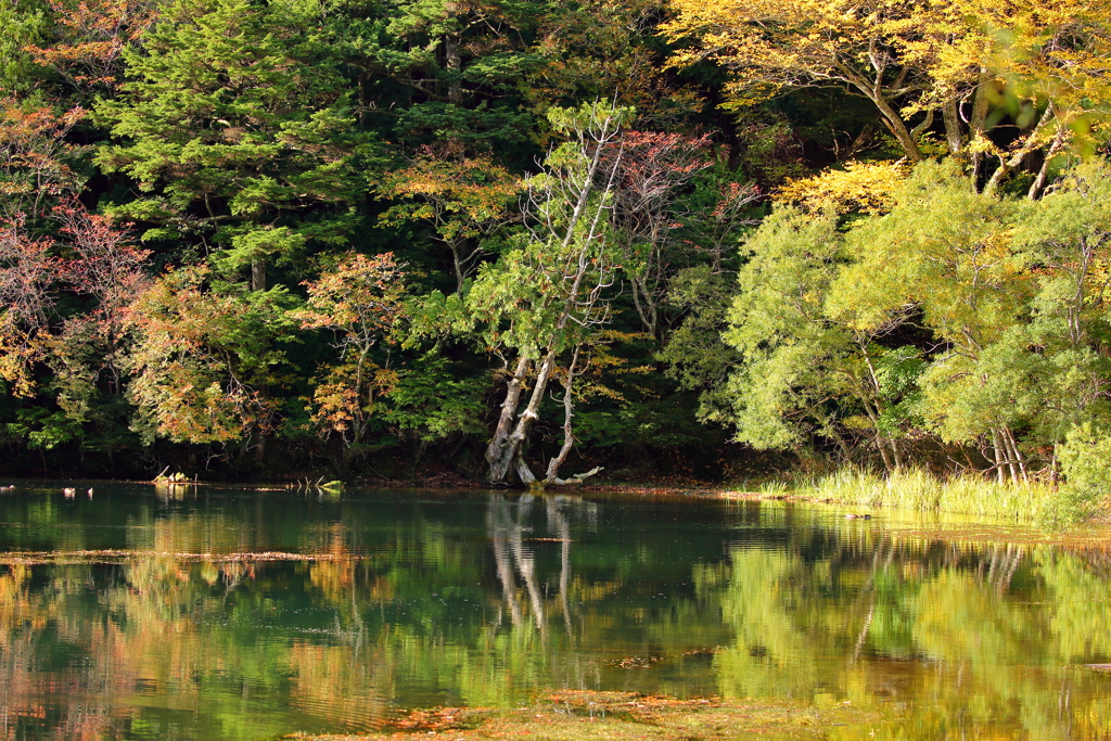 風景