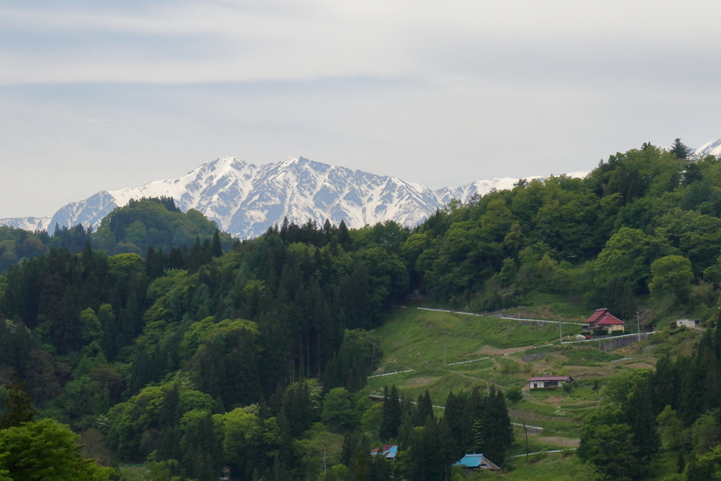 風景２