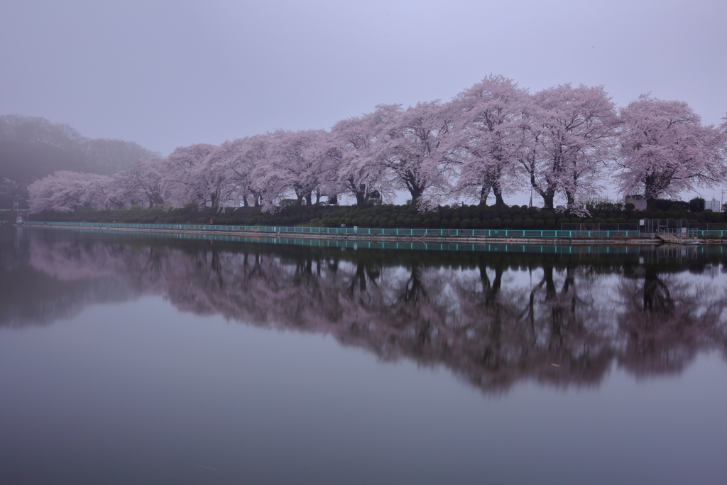 風景