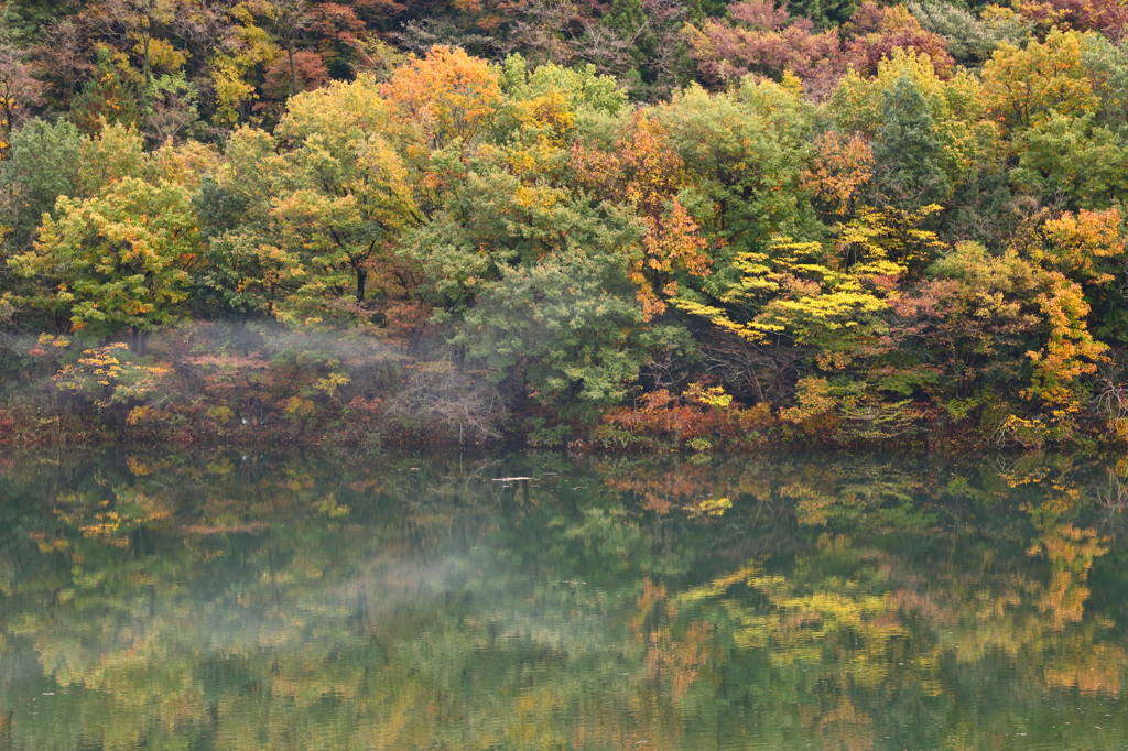 紅葉