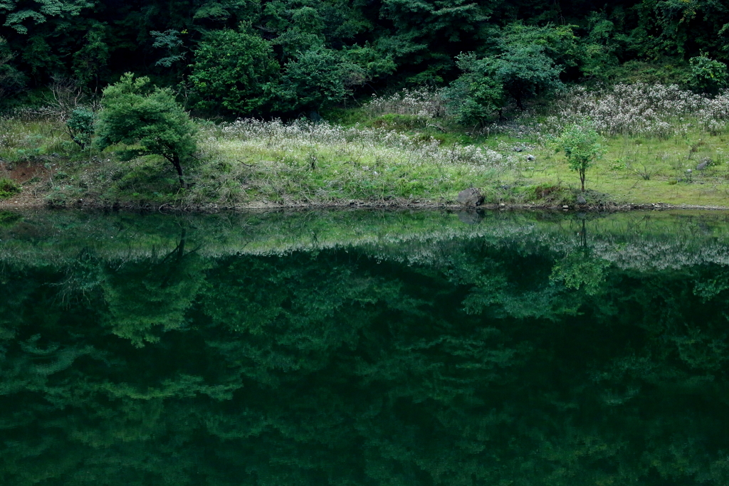 風景