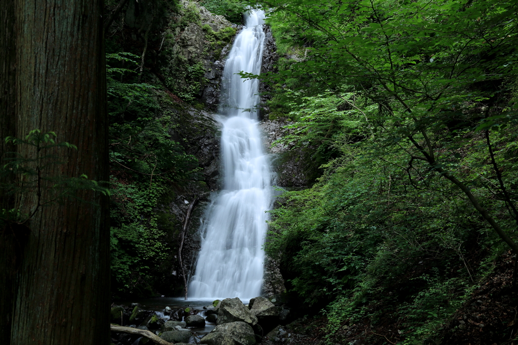 滝 2