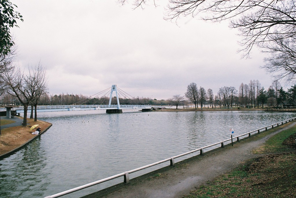 初めてのフィルム