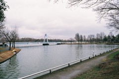 初めてのフィルム