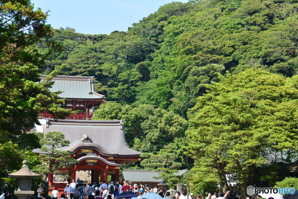 鶴岡八幡宮　