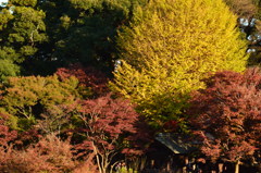 本土寺 弐