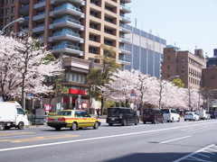 神保町の春