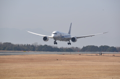 787　最終着陸態勢