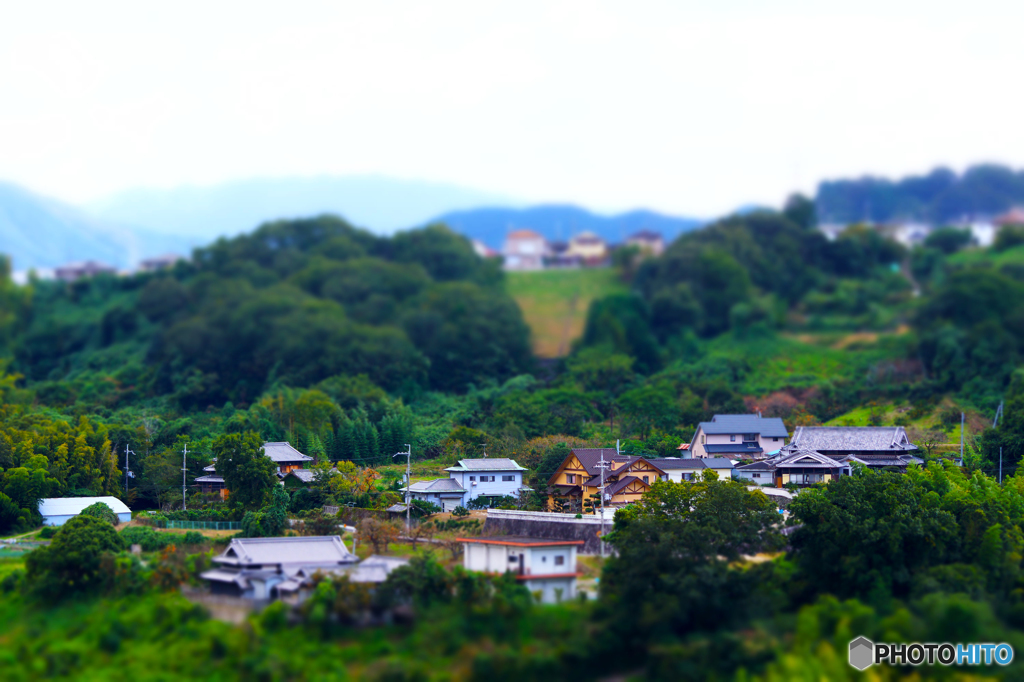 秋_河内長野