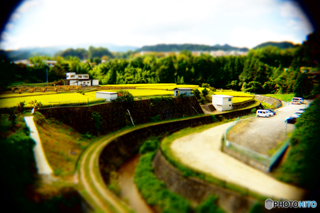 秋_河内長野