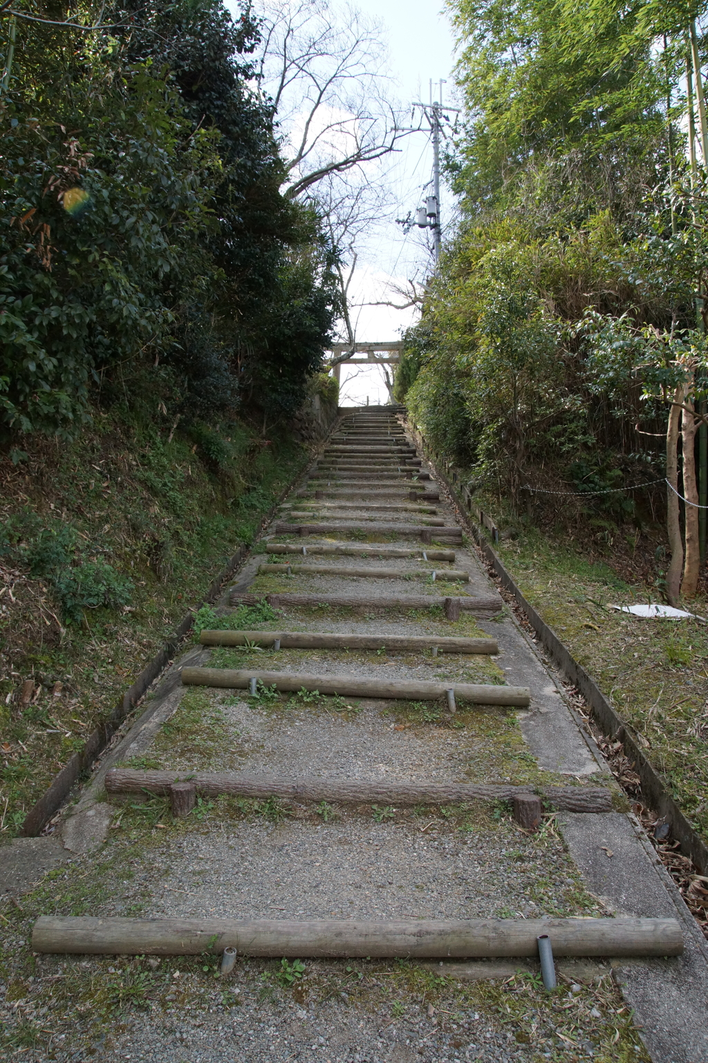 続く道