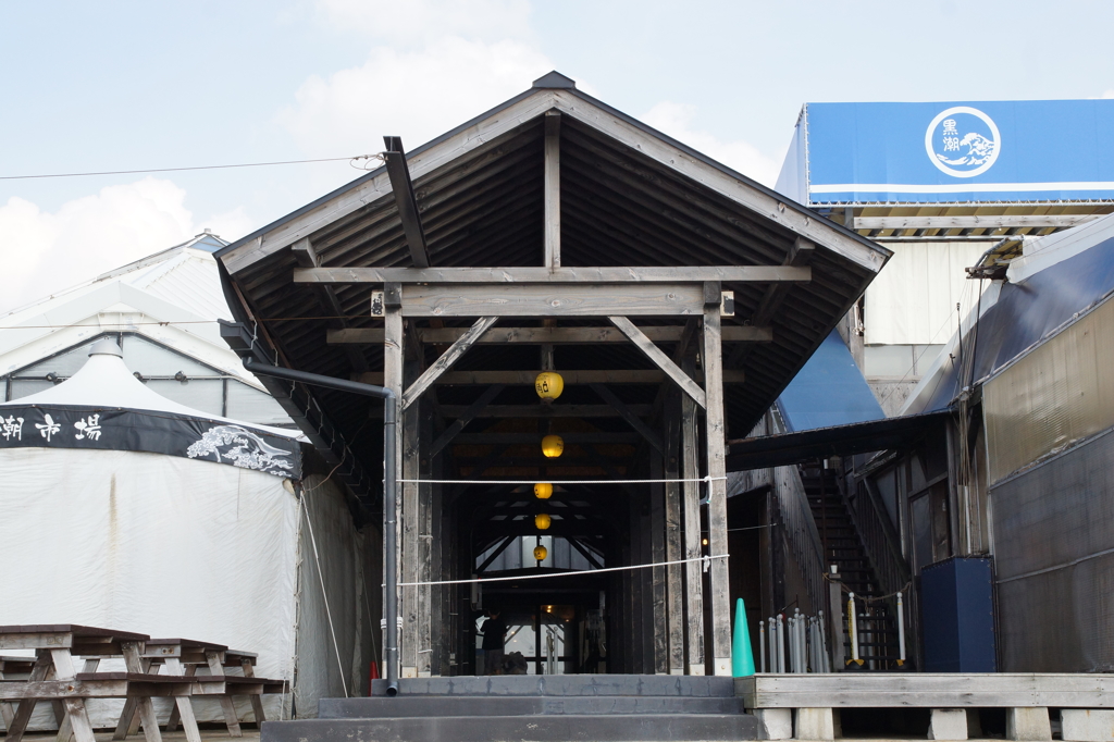 黒潮市場①