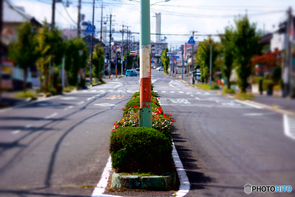 秋_河内長野