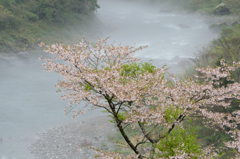 霧の仁淀川