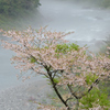 霧の仁淀川