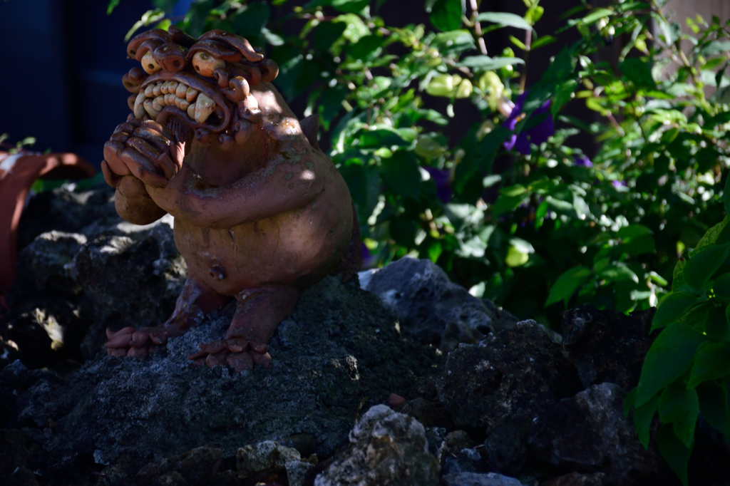 ルーティンシーサ