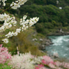  仁淀川にて