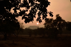 Sun Sinking in Delhi