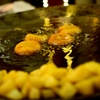 Fast Food: Potato Fry 1