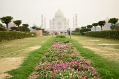 Flower Taji