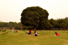 Pastime under a tree