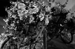Bicycles with Flowers