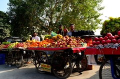 Fruit Stand in Delhi