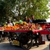 Fruit Stand in Delhi
