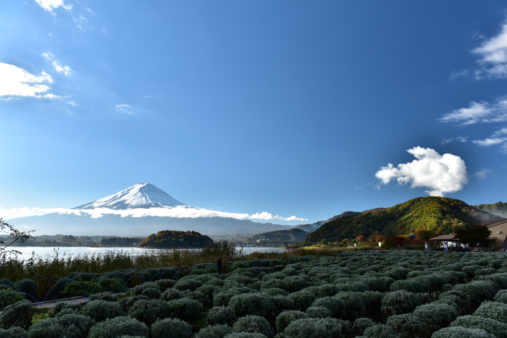 河口湖