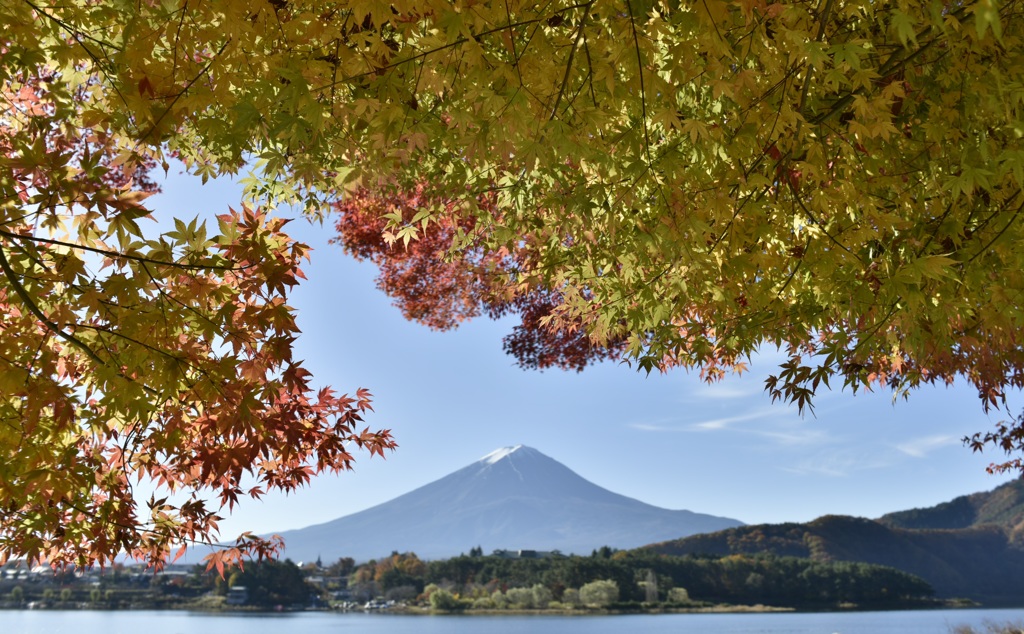 富士山