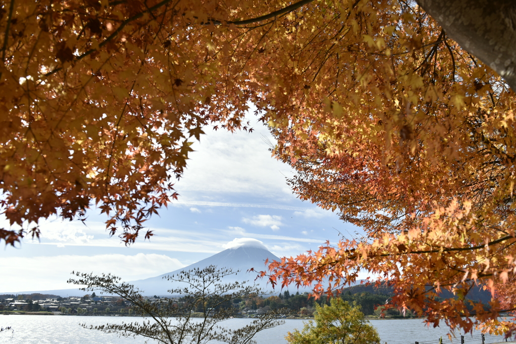 富士山