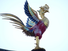 i神田明神(鳳凰)